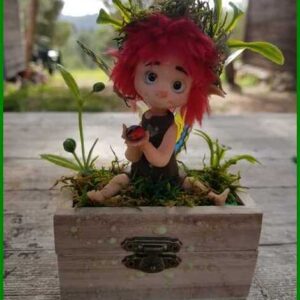 caja con hada de los deseos