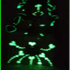 caja con hada del bosque fluorescente