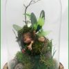 figura-hadita-en-campana-cristal
