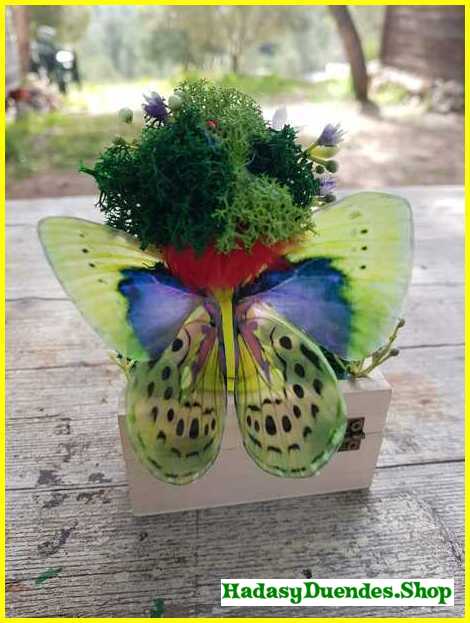 hada-fresa-caja